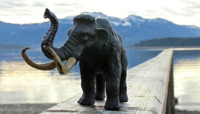 Mammoth-700x401.jpg