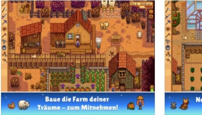 Stardew-Valley-Cover-700x400.jpg