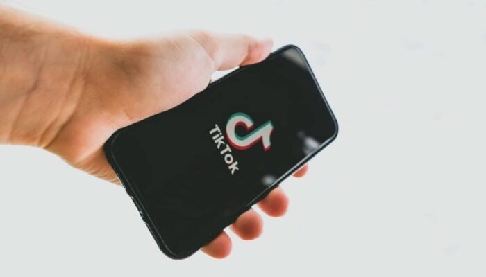 TikTok liest In-App-Browsereingaben mit Europäische Server