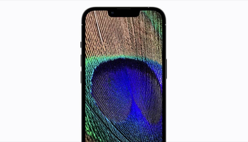 OLED-Smartphones: iPhone 14 führt Charts an