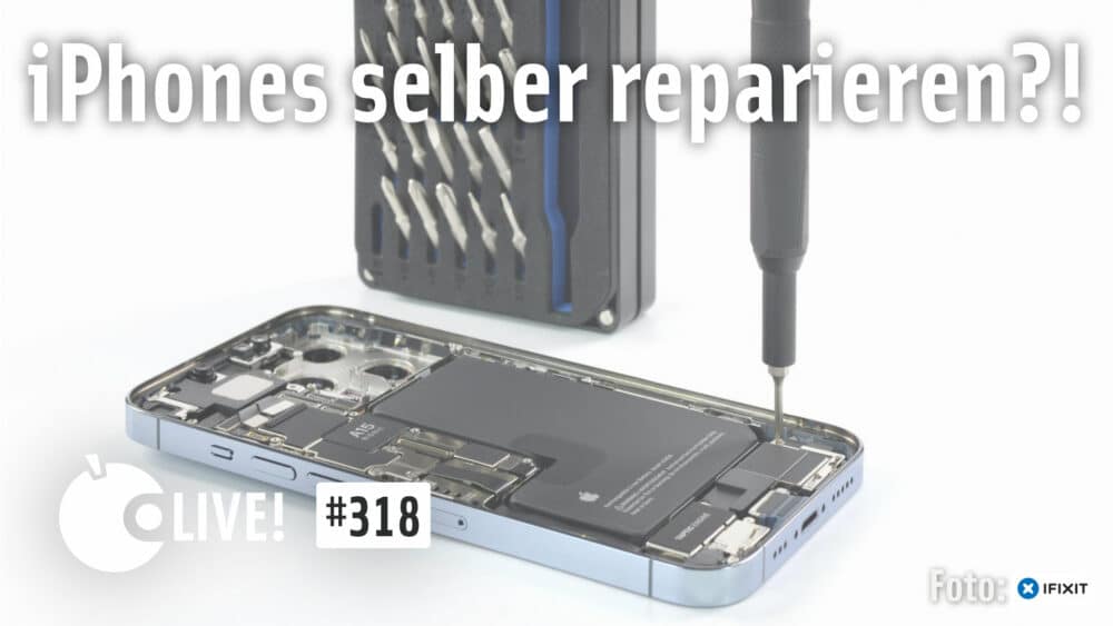 iPhones selber reparieren