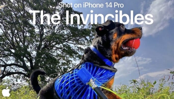 The-Invincibles-700x400.jpg