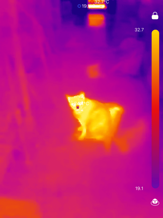 TopInfrared_1724070570482-525x700.png