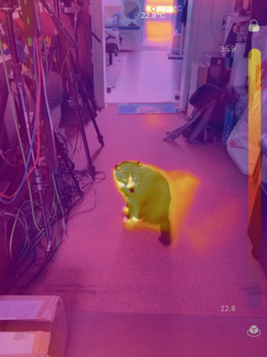 TopInfrared_1724070586545-525x700.png
