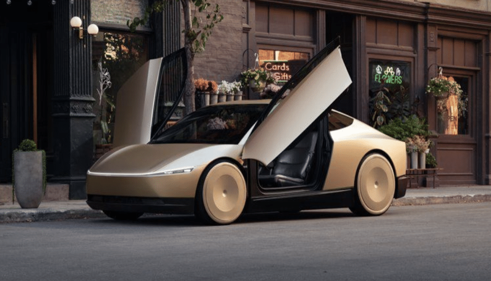 Robotaxi Robotaxi