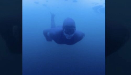 Apple Vision Pro: „Ice Dive“ – Neues immersives Erlebnis veröffentlicht