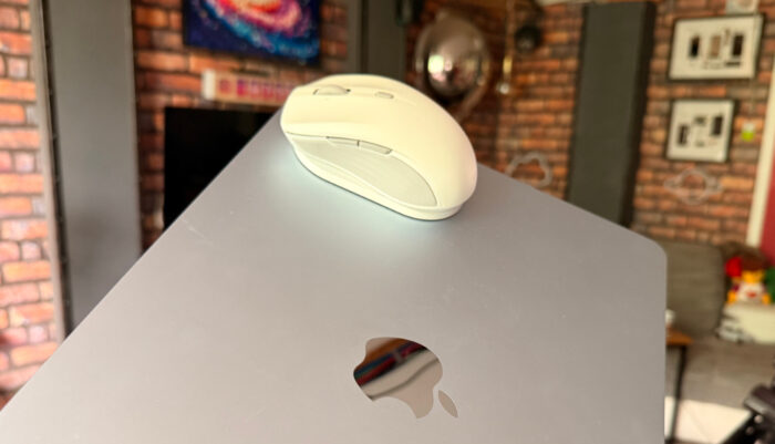 ESR MagMouse